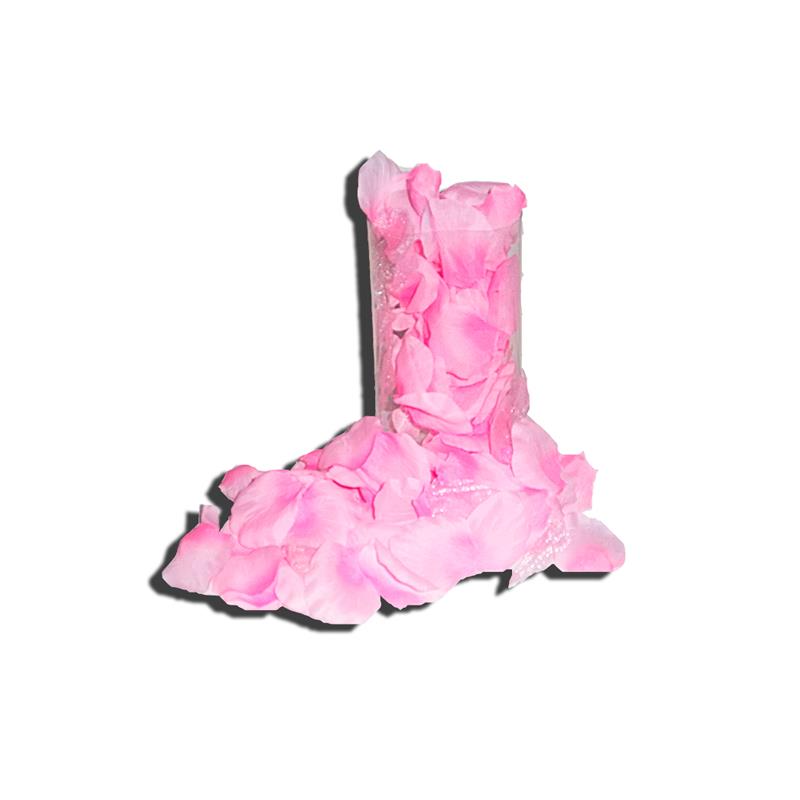 Pétalos de Rosa 120 Unidades Color Rosa